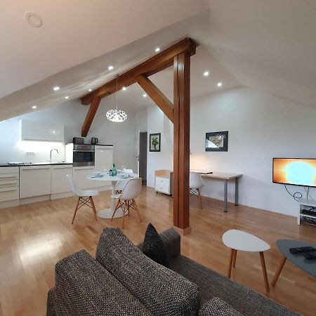 Charming Apartment Mila In Privat House With Free Parking Ljubljana Bagian luar foto