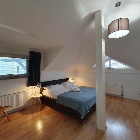 Charming Apartment Mila In Privat House With Free Parking Ljubljana Bagian luar foto