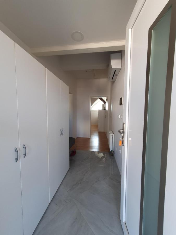 Charming Apartment Mila In Privat House With Free Parking Ljubljana Bagian luar foto