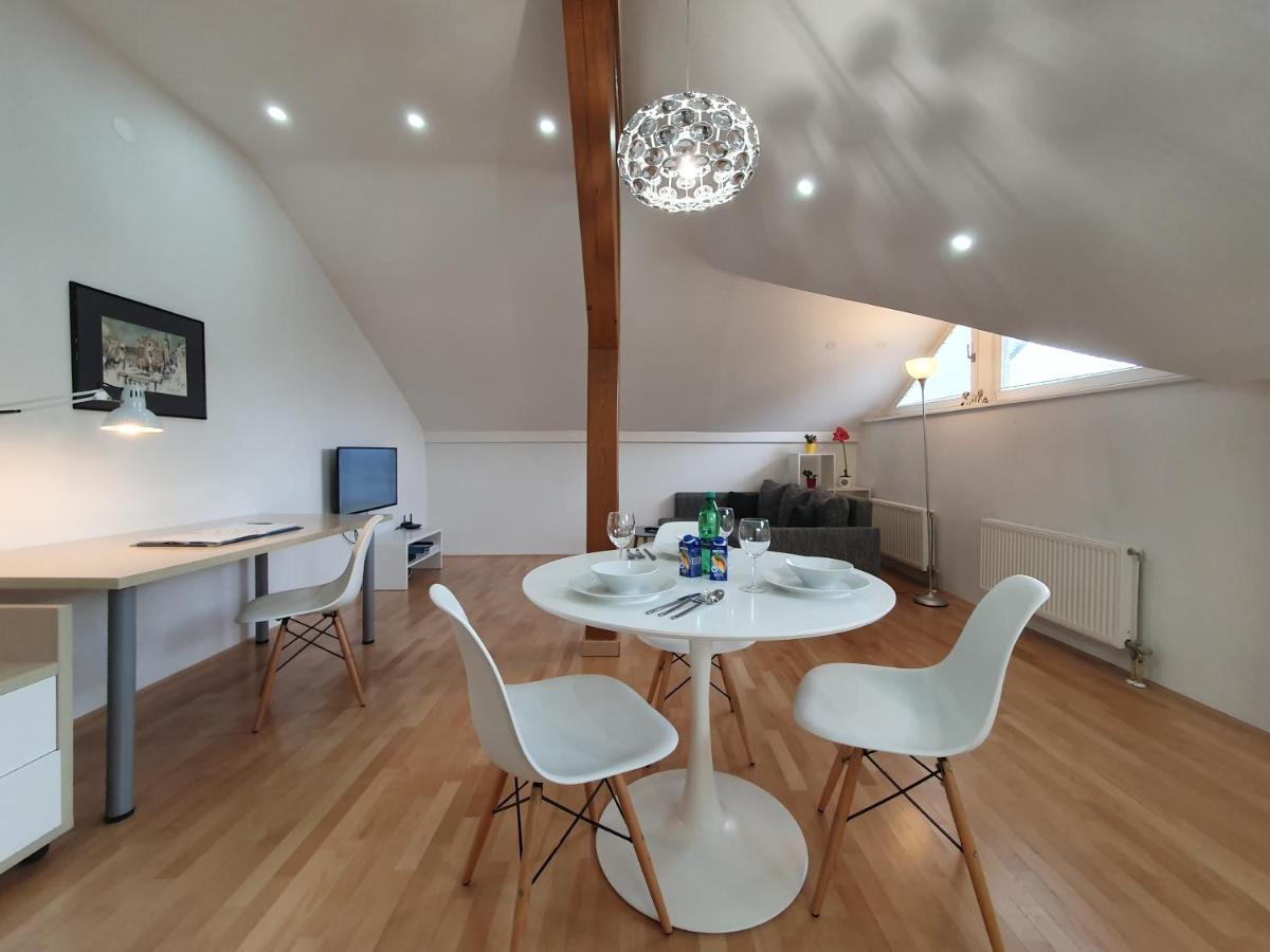 Charming Apartment Mila In Privat House With Free Parking Ljubljana Bagian luar foto